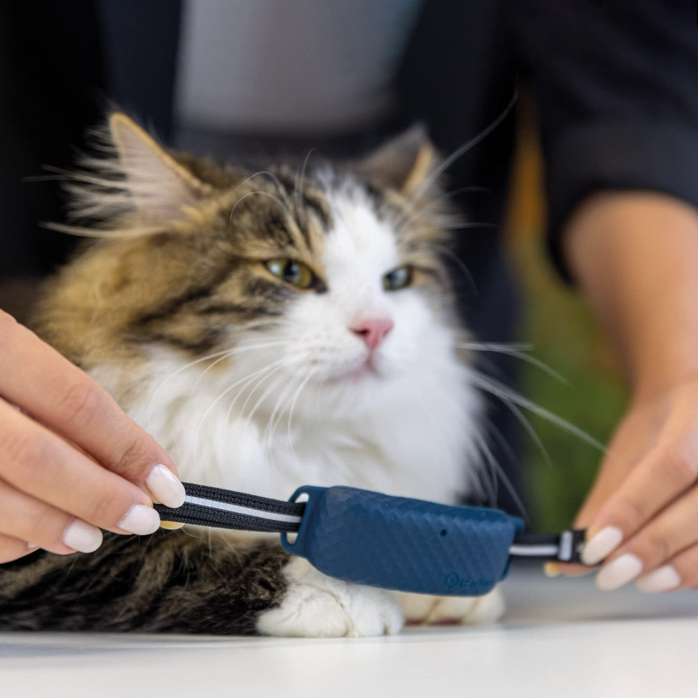 Tractive CAT 4 secure attachment enables quick, tool-free collar changes.