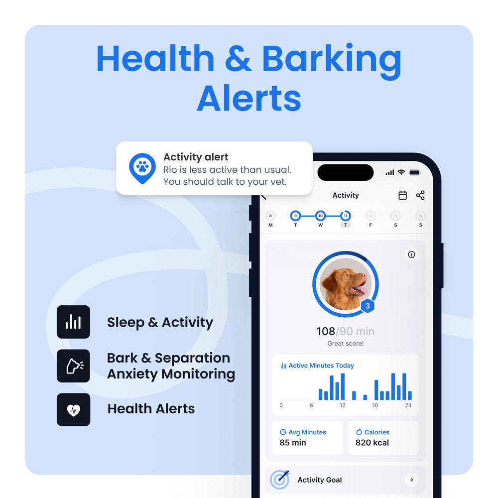 Tractive escape alerts and location history help retrace steps after adventures.