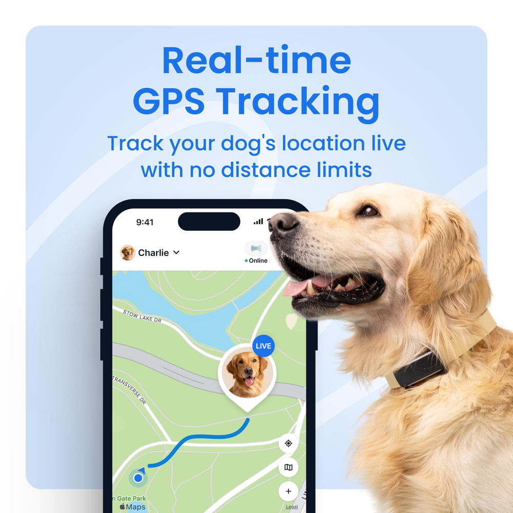 Tractive live tracking map shows the dog's real-time location every few seconds.