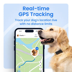 Live location updates on the map provide real-time awareness with Tractive