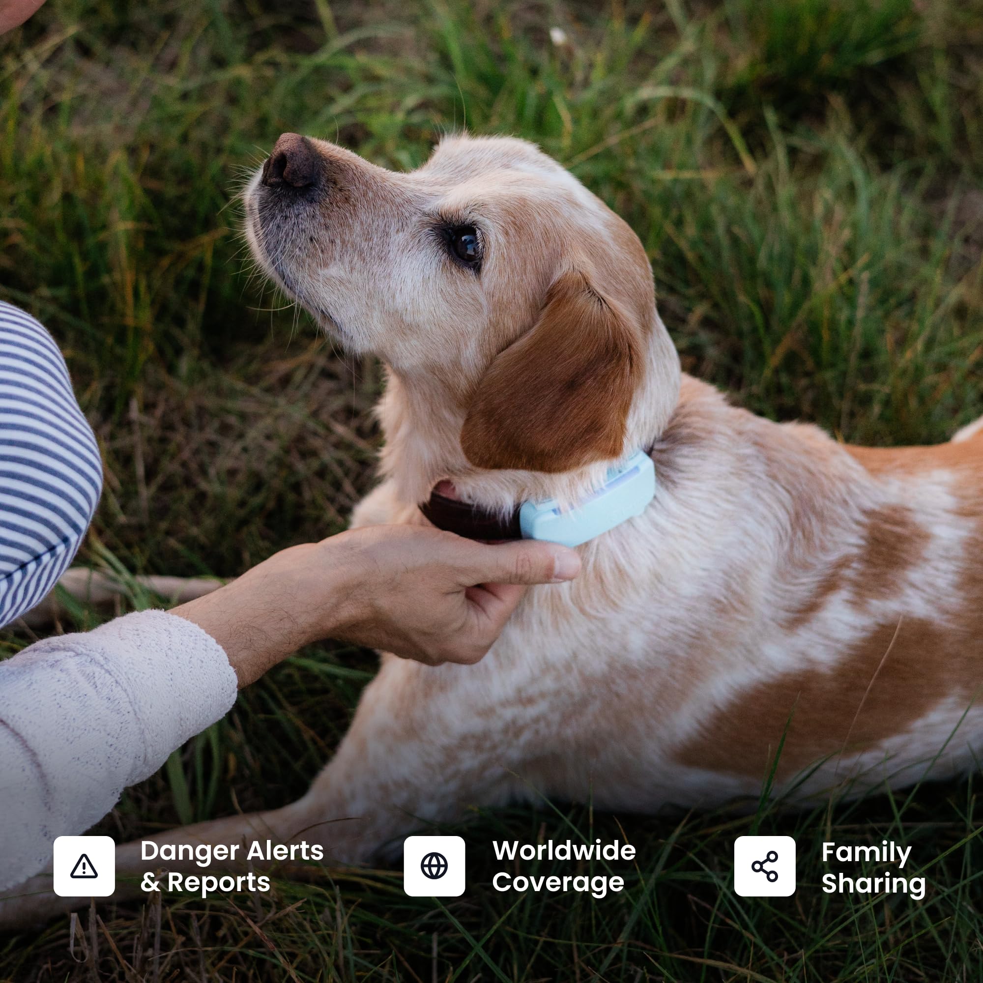 Tractive six-month premium trial bundle included with the device.