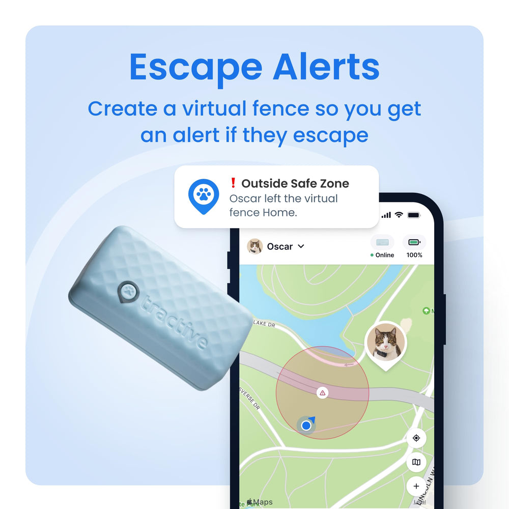 Activity and sleep insights provided by the Tractive tracker for daily life.