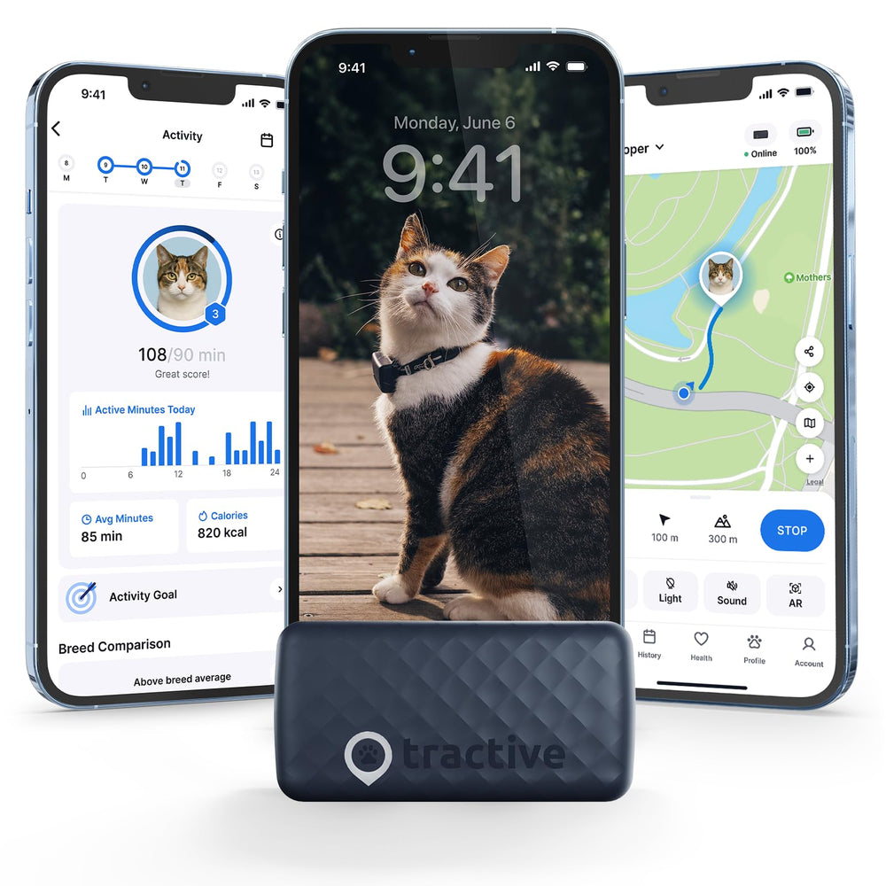 Tractive Smart Cat GPS Tracker providing live location updates for safer outdoor cats