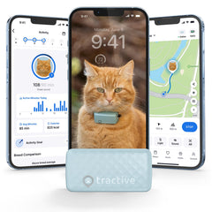 Tractive Smart Cat GPS Tracker provides real-time location updates worldwide.