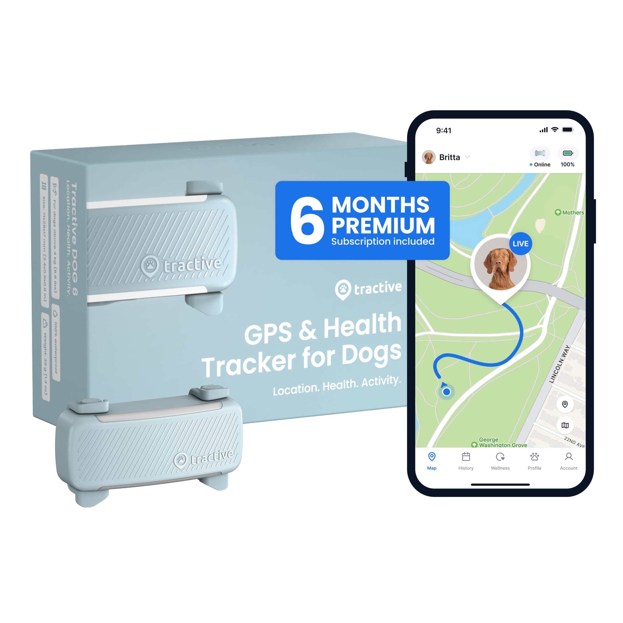 Tractive Smart Dog GPS Tracker on mint collar attachment for reliable tracking