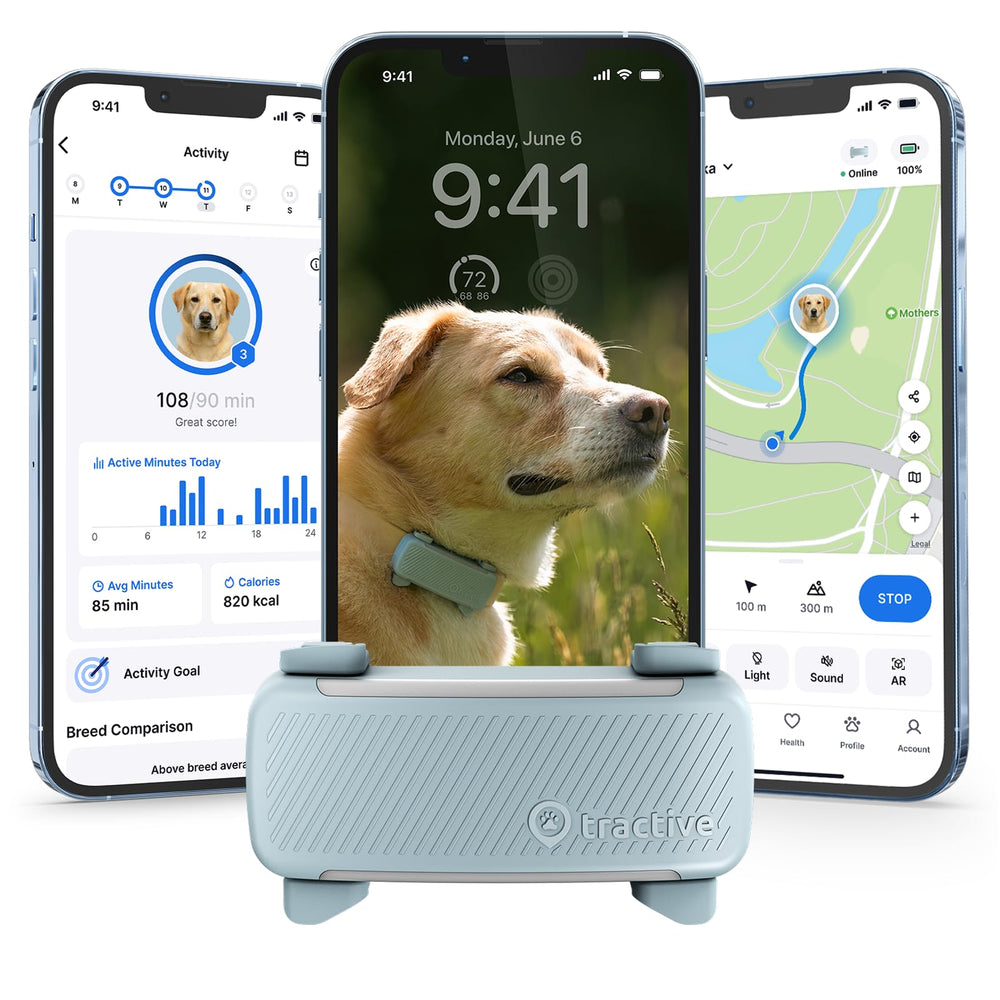 Tractive Smart Dog GPS Tracker Mint provides real-time location for safer adventures.
