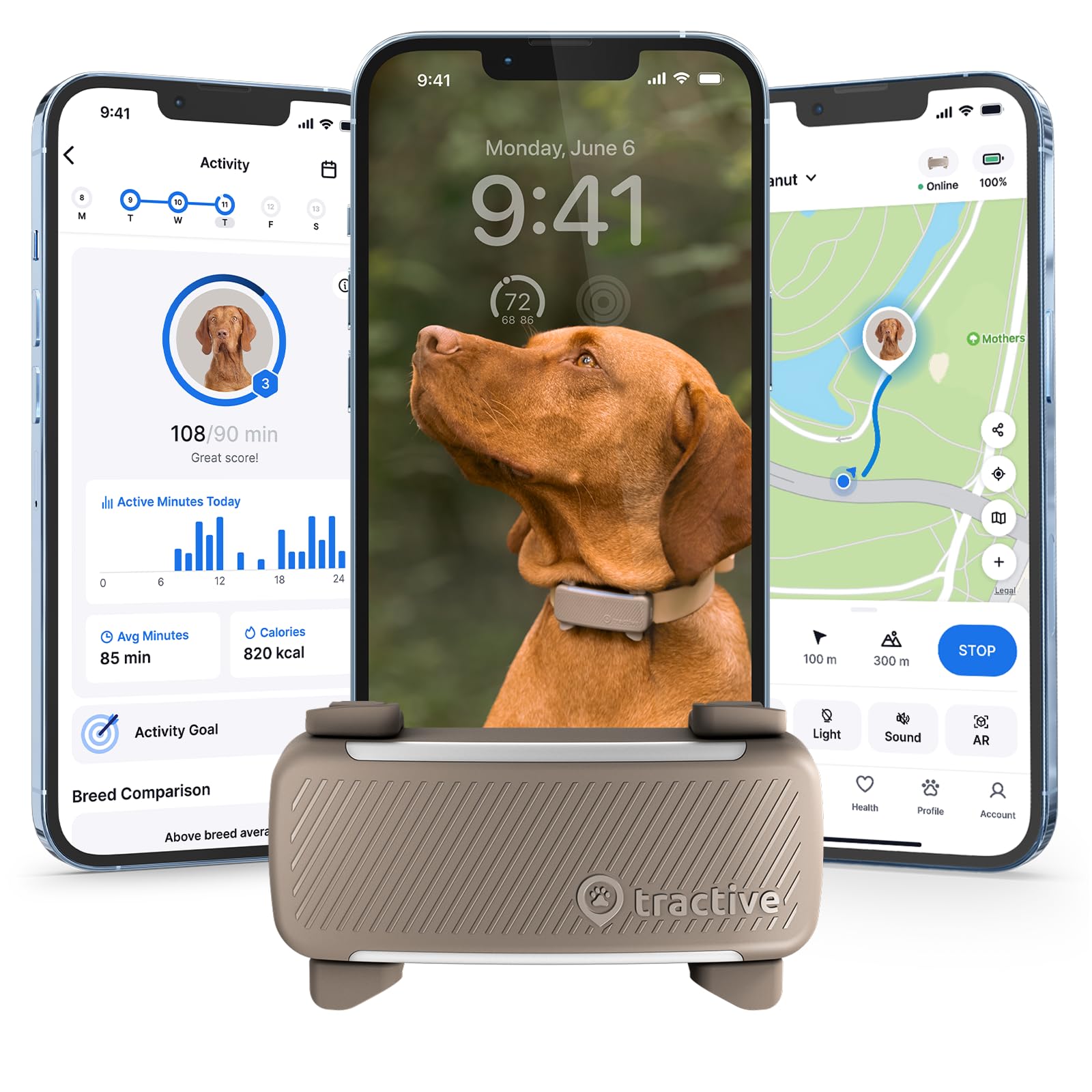 Tractive smart dog GPS tracker on collar provides real-time location updates