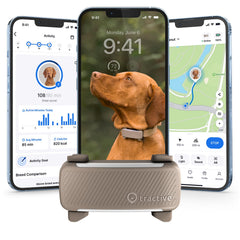 Tractive smart dog GPS tracker on collar provides real-time location updates