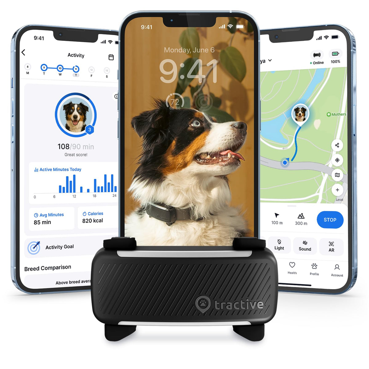Tractive GPS tracker on a dog's neck provides real-time location updates.