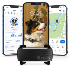Tractive GPS tracker on a dog's neck provides real-time location updates.