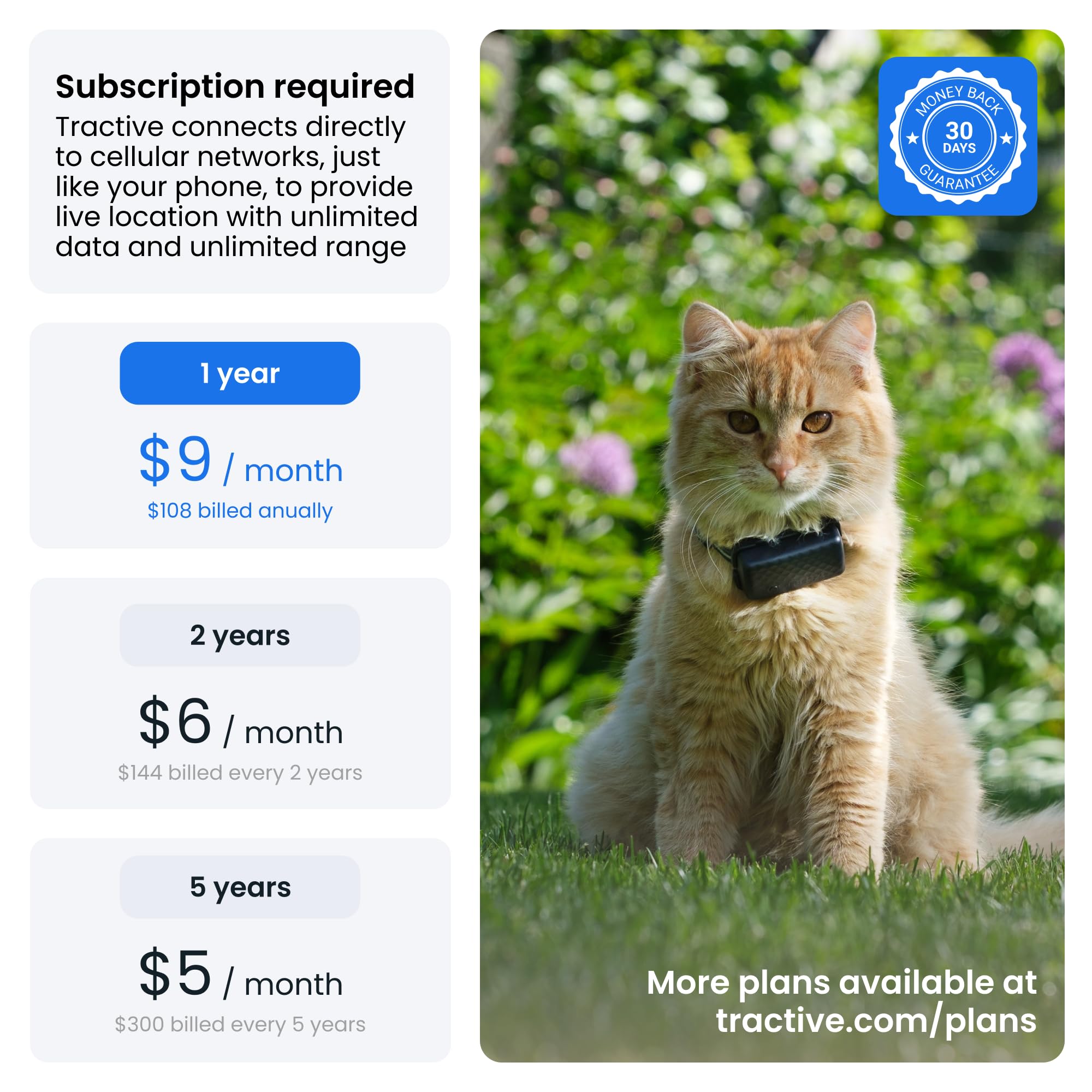Weekly territory history map reveals your cat’s roaming patterns.