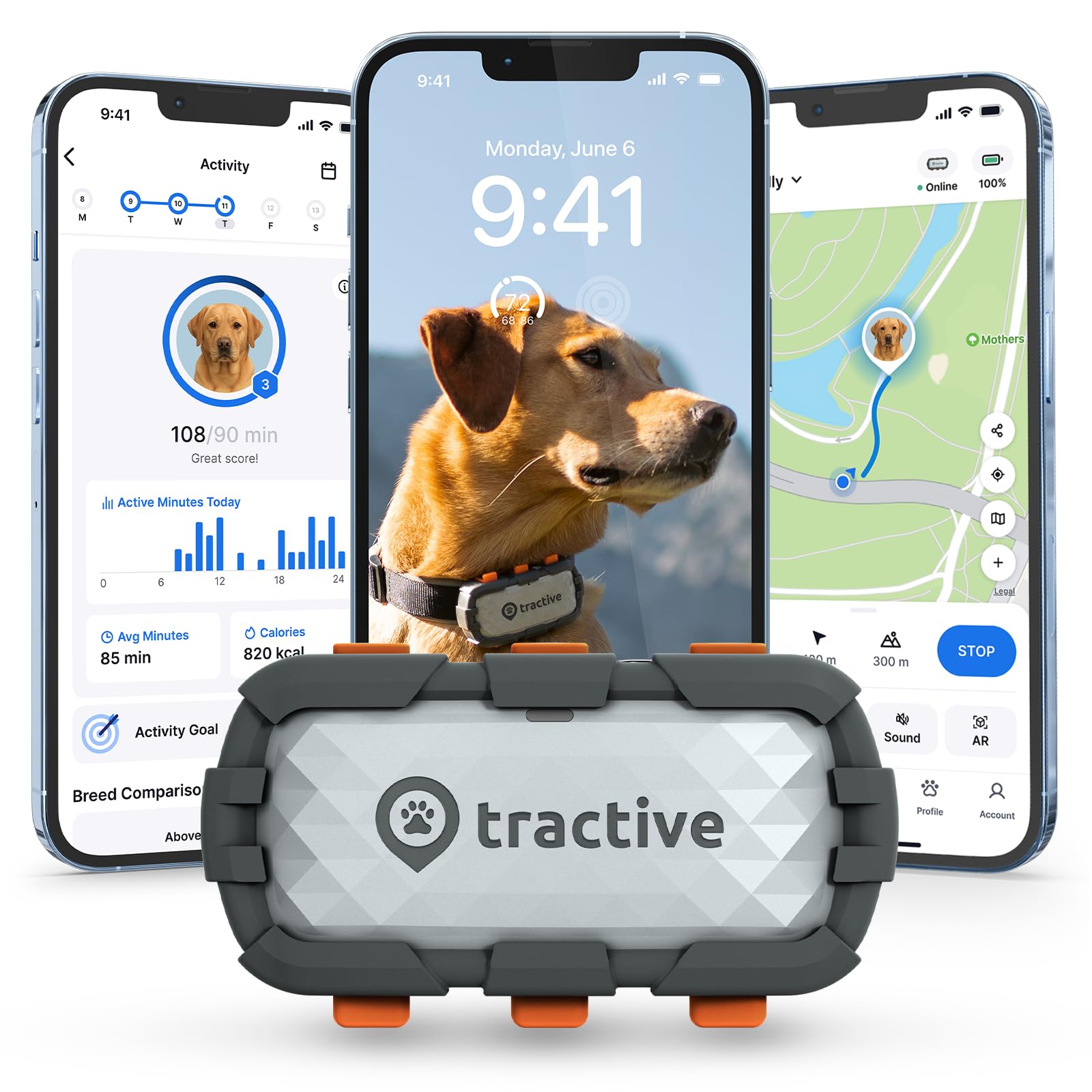 Tractive XL GPS tracker on the collar for real-time location updates.