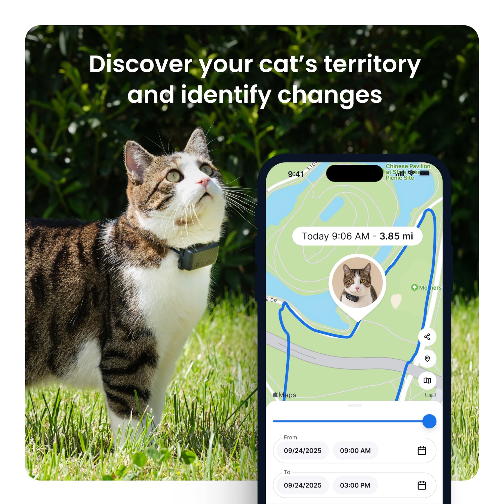 Tractive XL health and activity tracking highlights daily wellness patterns.
