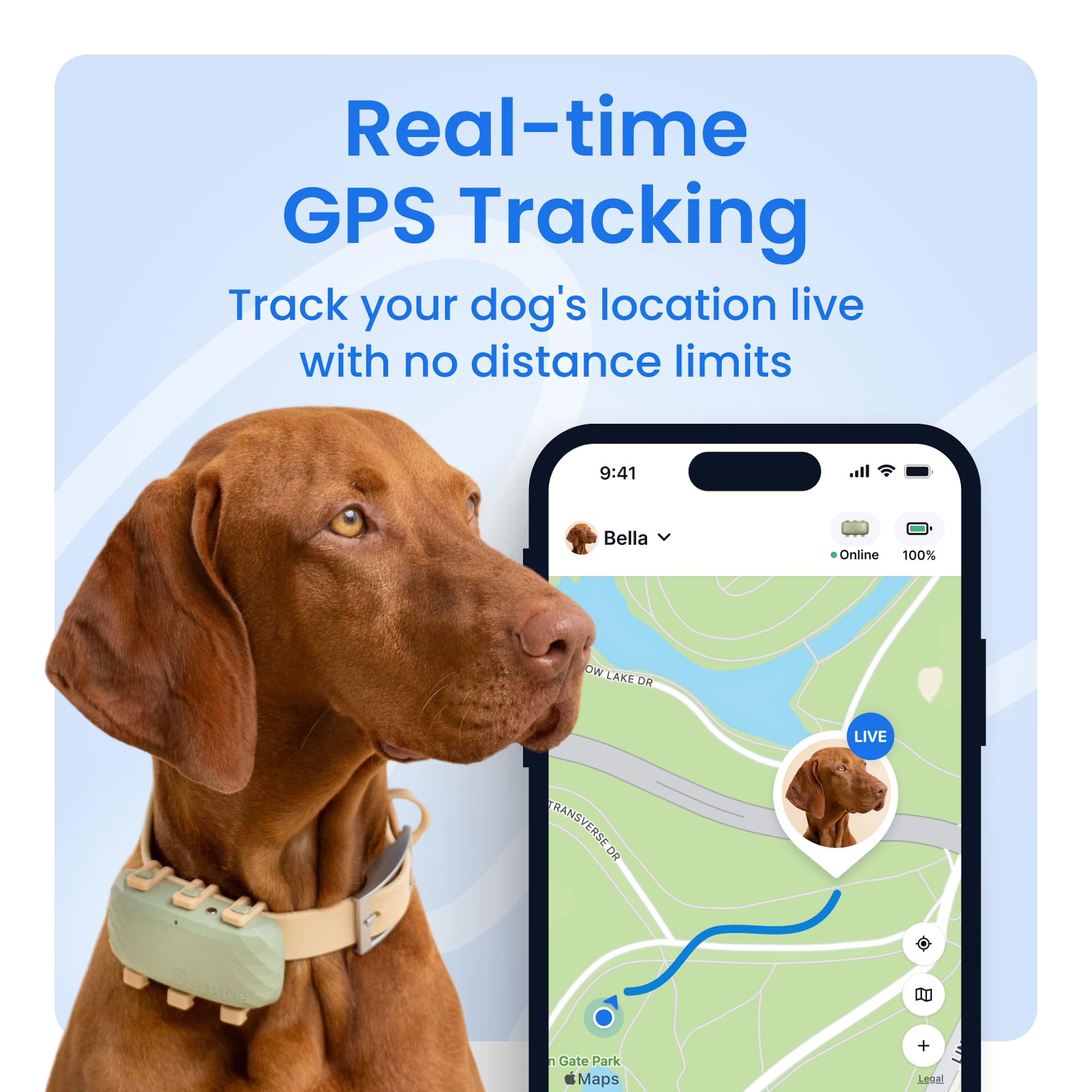 Tractive XL live-tracking map view shows real-time location and updates.