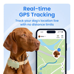Tractive XL live-tracking map view shows real-time location and updates.