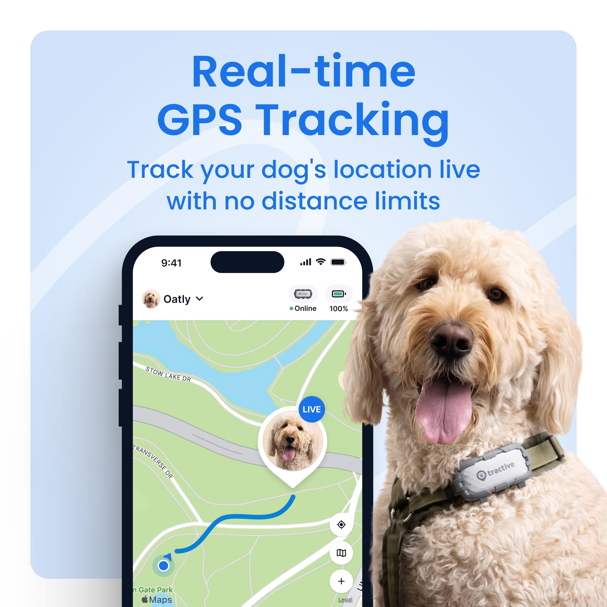 Tractive XL live tracking map shows your dog's route anywhere.