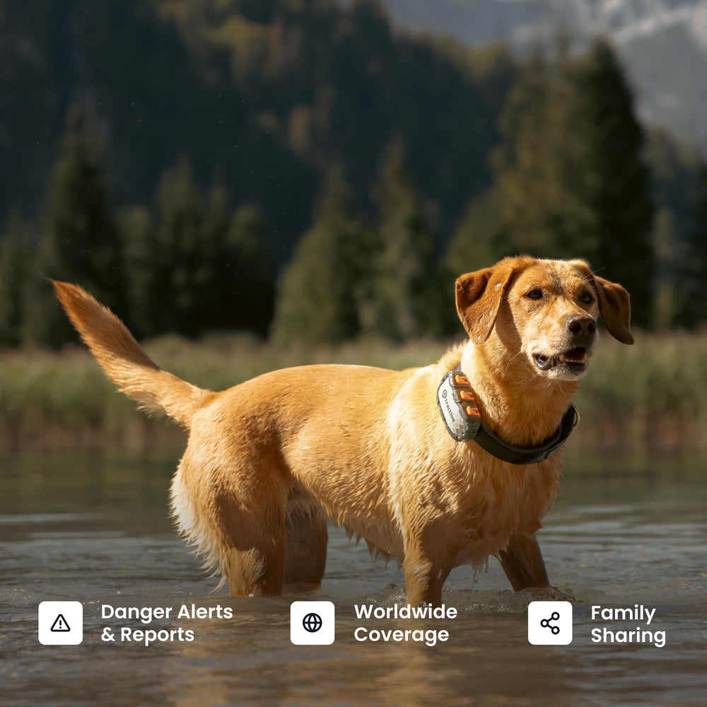 Tractive XL battery life lasts up to one month.