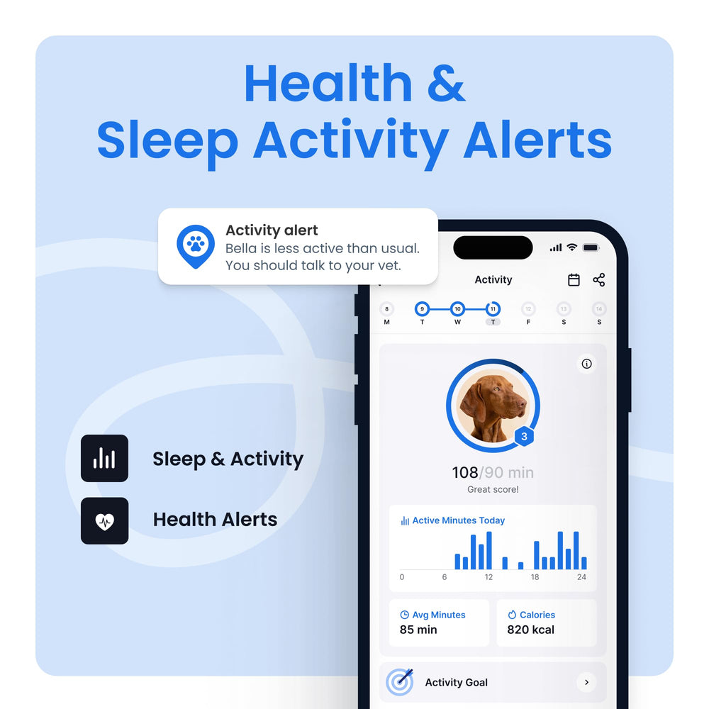 Tractive XL respiratory-rate monitoring supports wellness awareness.