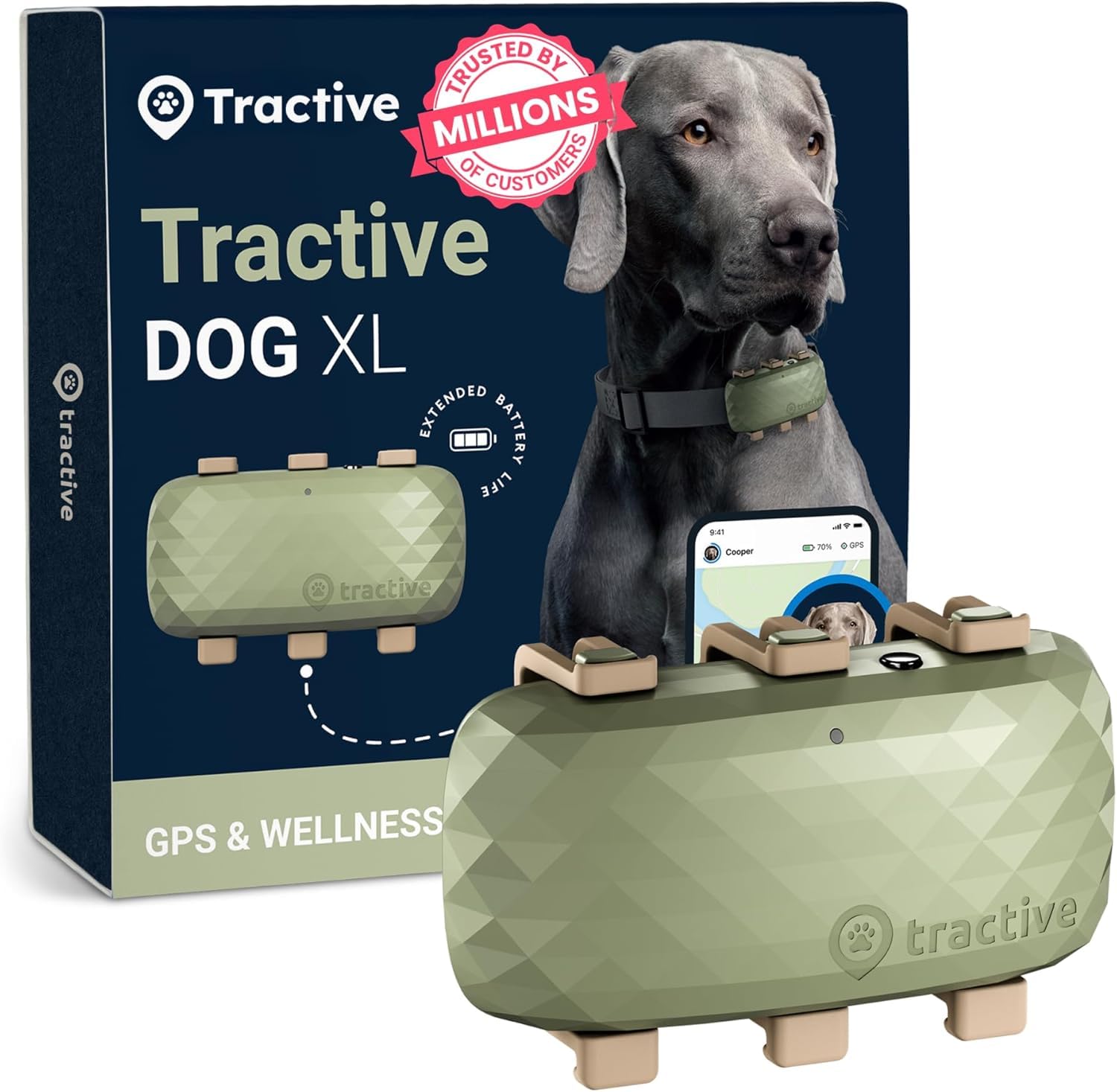 Tractive XL GPS tracker on collar attachment for secure outdoor adventures.