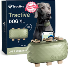 Tractive XL GPS tracker on collar attachment for secure outdoor adventures.