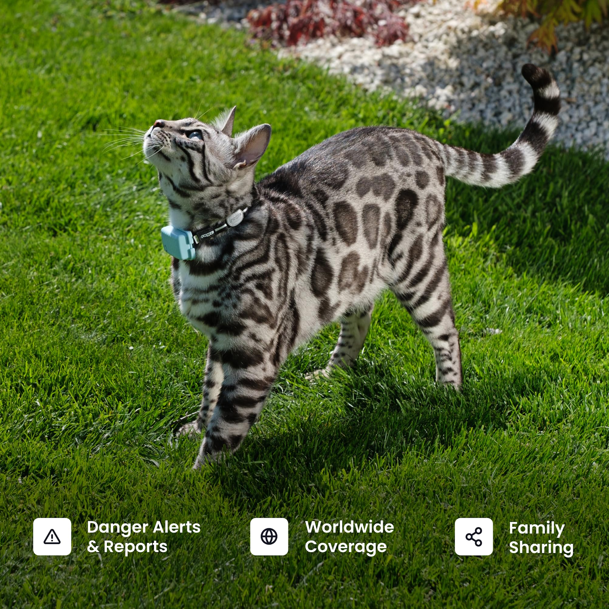 Tractive XL subscription options start at $5 per month with risk-free trial.