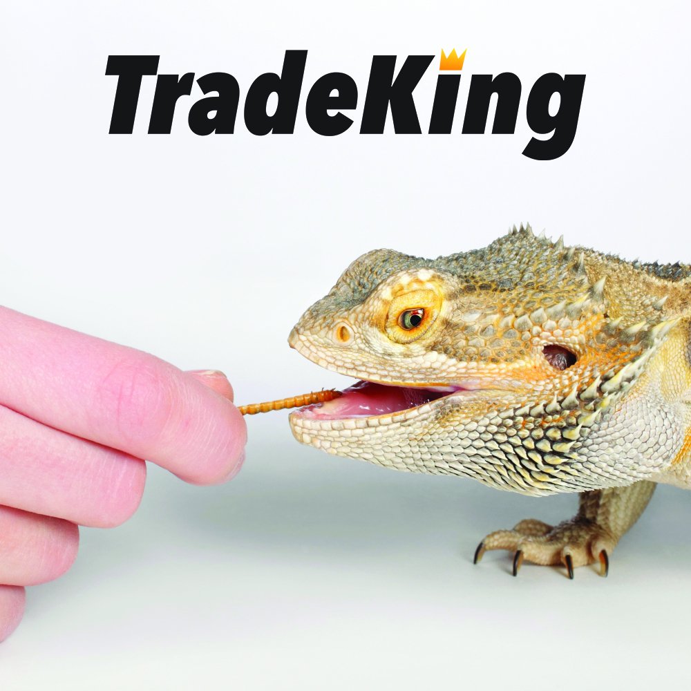TradeKing Dried Mealworms attract wild birds with a protein-rich option.