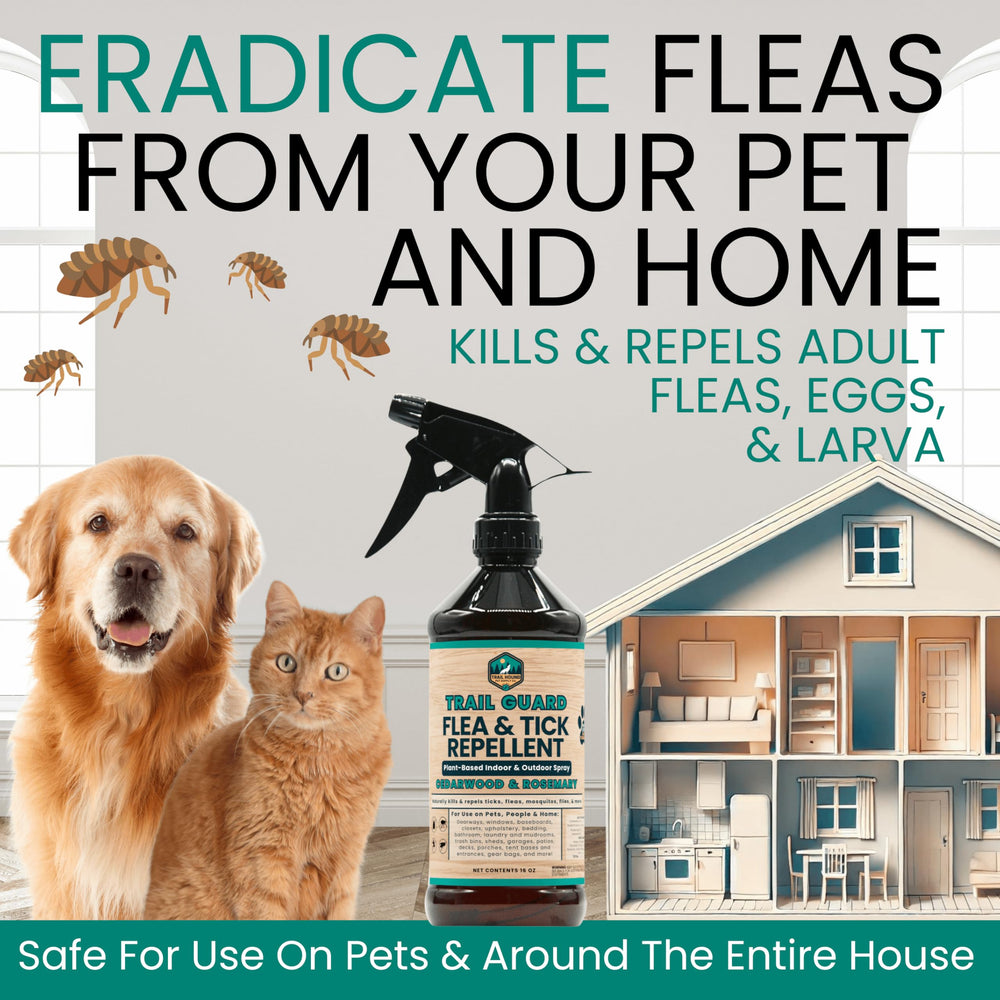 Dog-friendly spray on pets helps deter fleas and ticks.