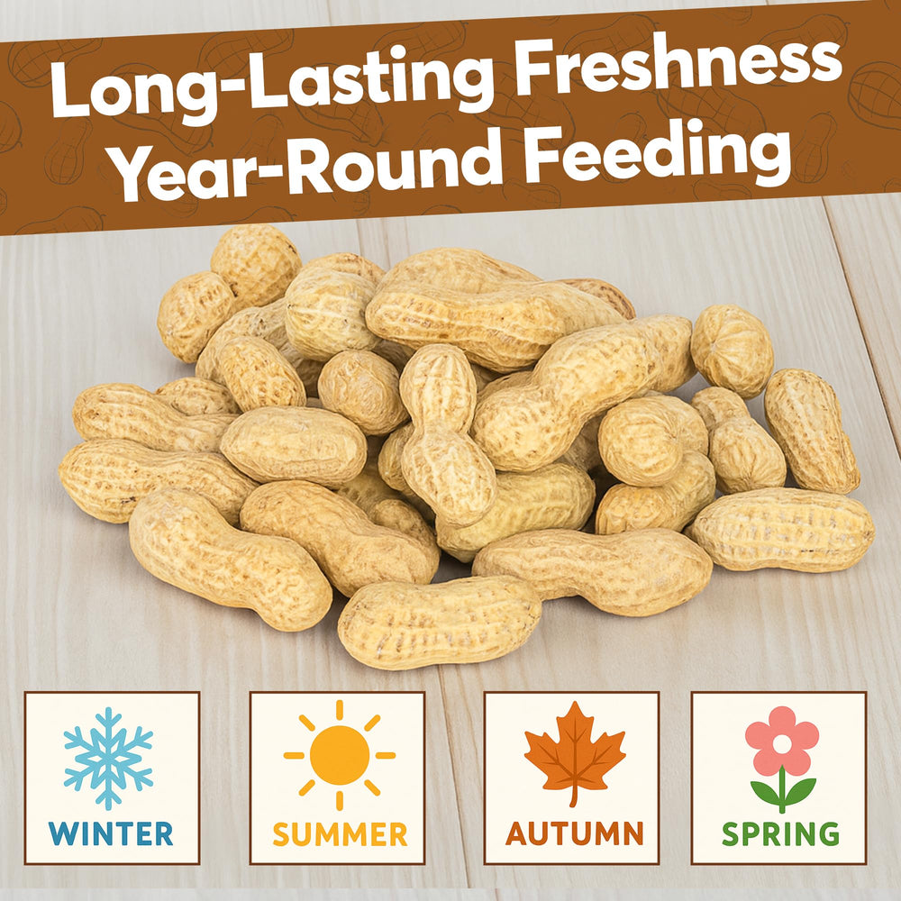 Trailmark Naturals backyard feeder setup with raw peanuts in shell fuels consistent wildlife visits.