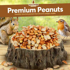Trailmark Naturals shelled peanuts for birds, ideal for backyard feeders outdoors.