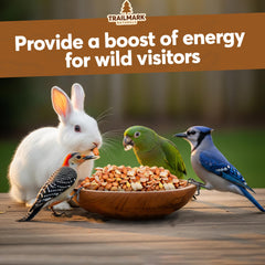 Trailmark Naturals shelled peanuts for squirrels and birds at feeding stations.