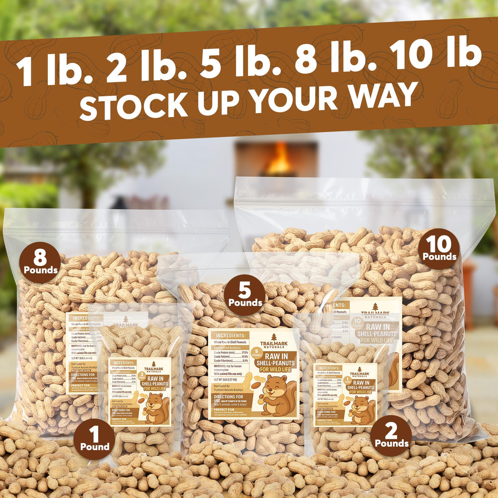 Trailmark Naturals USA-grown raw peanuts in the shell.