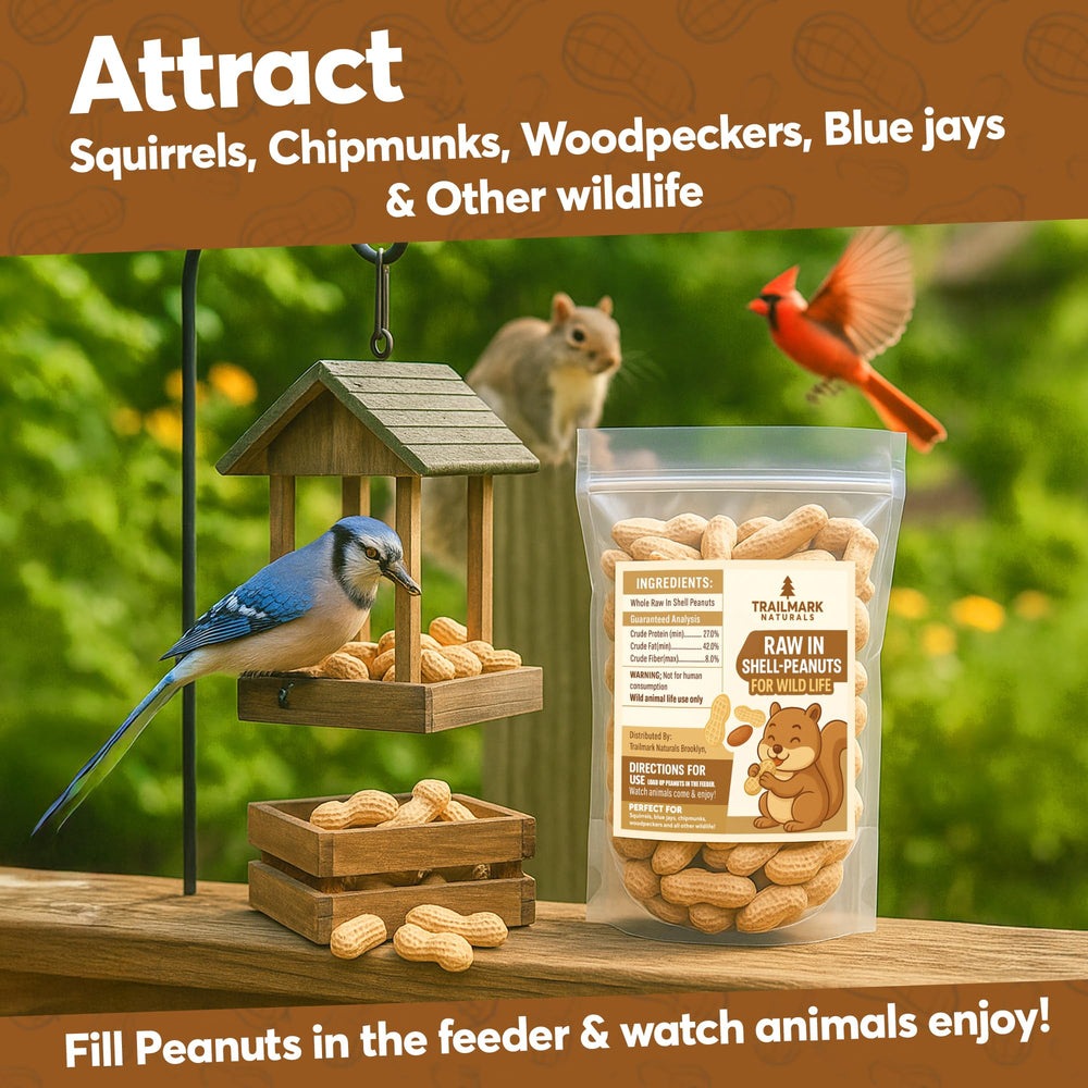 Trailmark Naturals USA-grown raw peanuts, clean and natural.