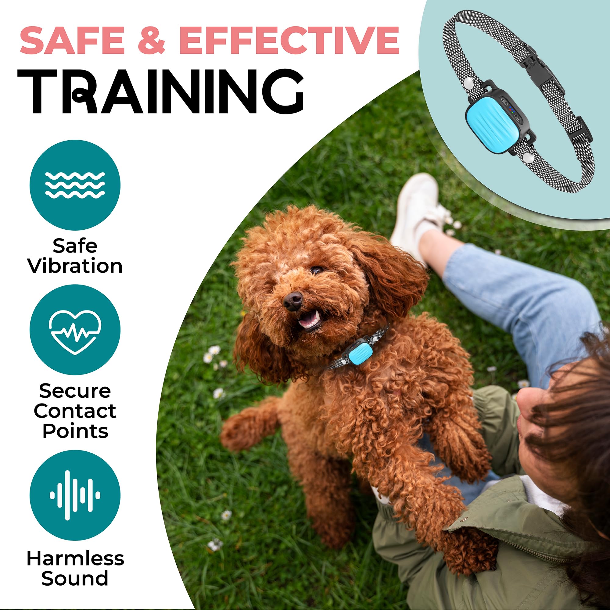 TrainTail collar features two vibration modes plus audible beep for gentle feedback.