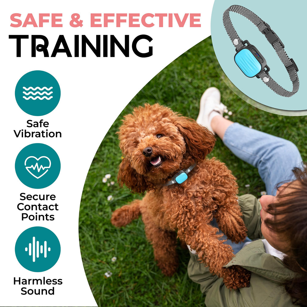 TrainTail collar features two vibration modes plus audible beep for gentle feedback.