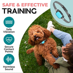 TrainTail collar features two vibration modes plus audible beep for gentle feedback.