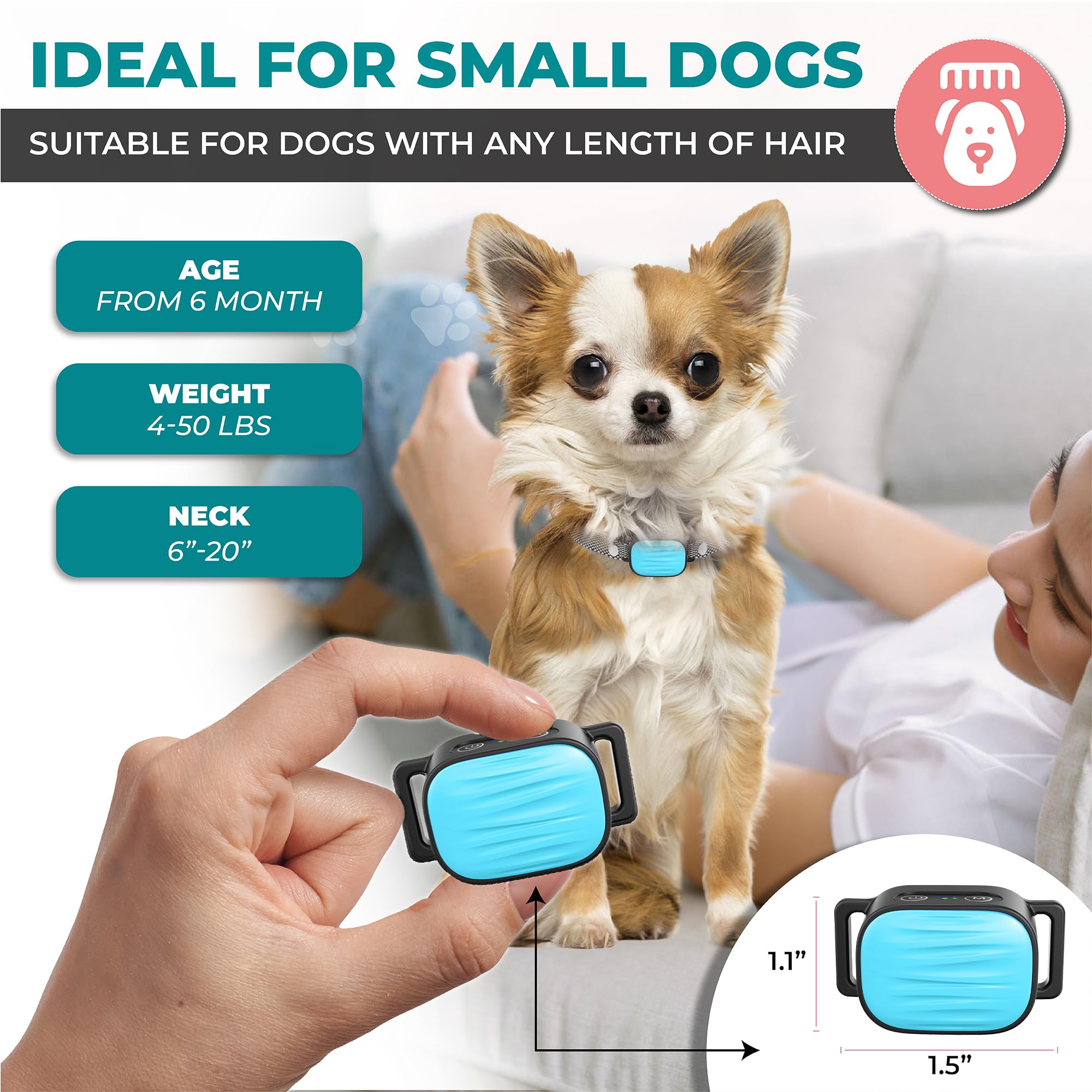 Adjustable strap on the TrainTail collar fits small to medium dogs comfortably.