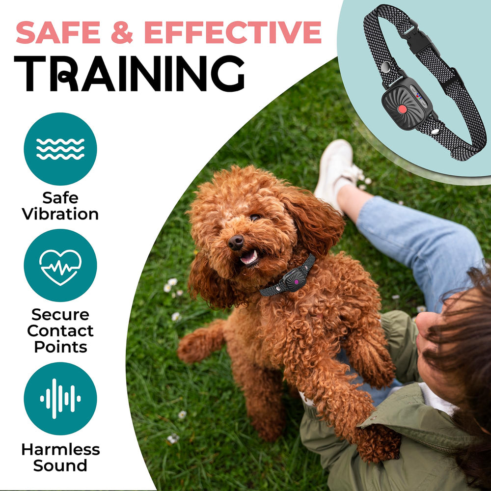 TrainTail bark collar close-up showing easy-access controls for gentle training.