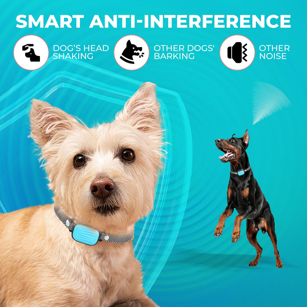 Lightweight design ideal for puppies and small breed dogs.