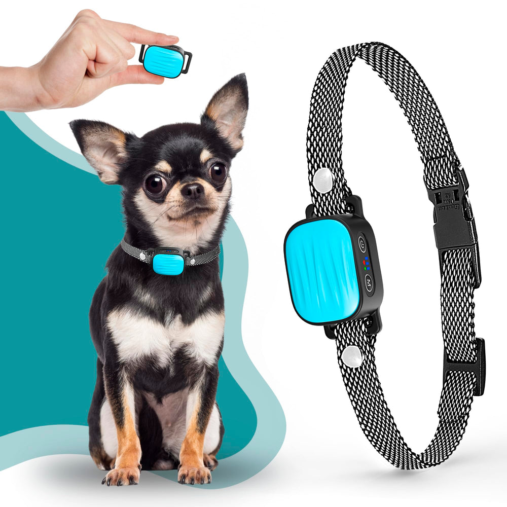 TrainTail bark collar for small dogs with no shock and beep mode for gentle training.