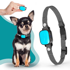TrainTail bark collar for small dogs with no shock and beep mode for gentle training.