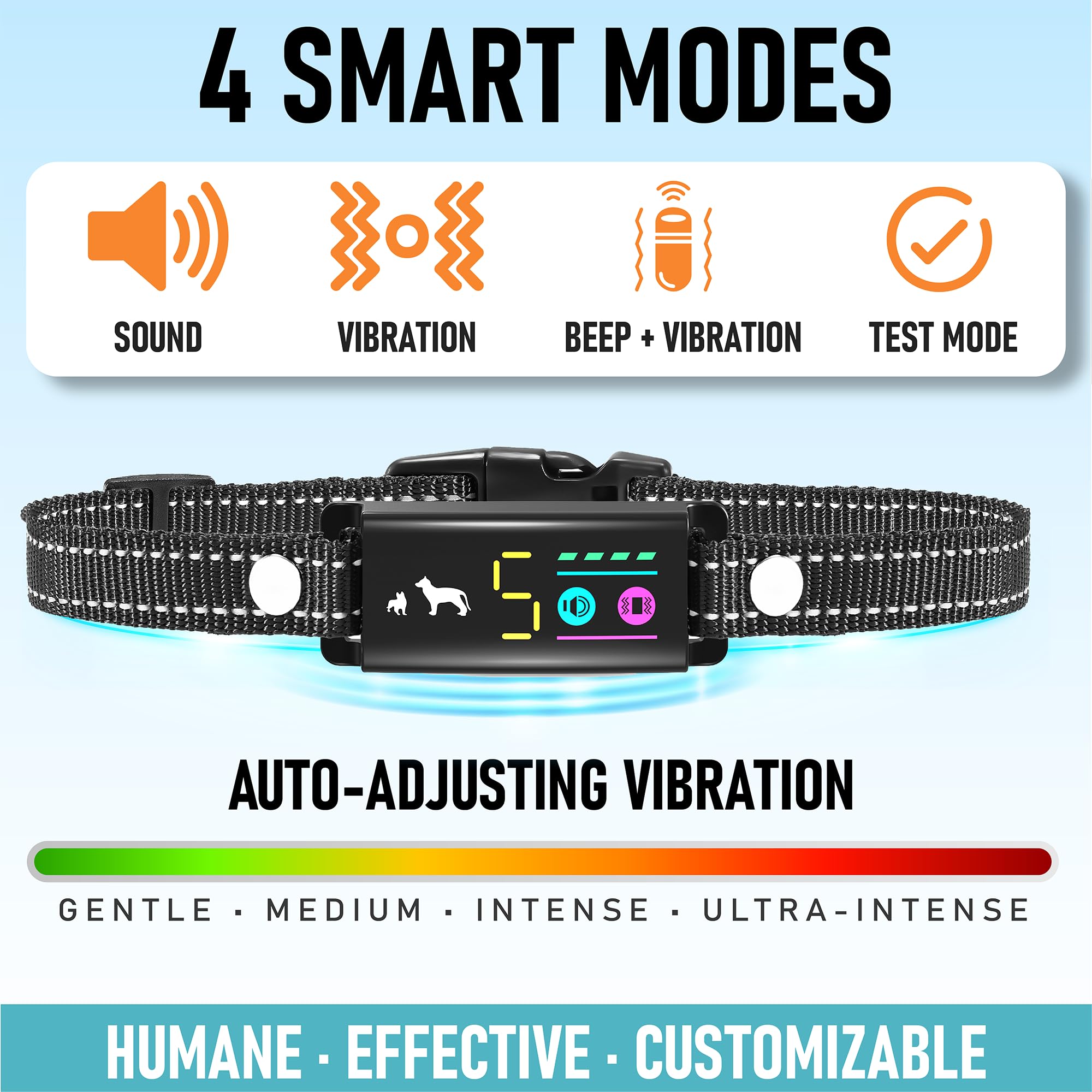 TrainTail Black collar blends with everyday dogwear.