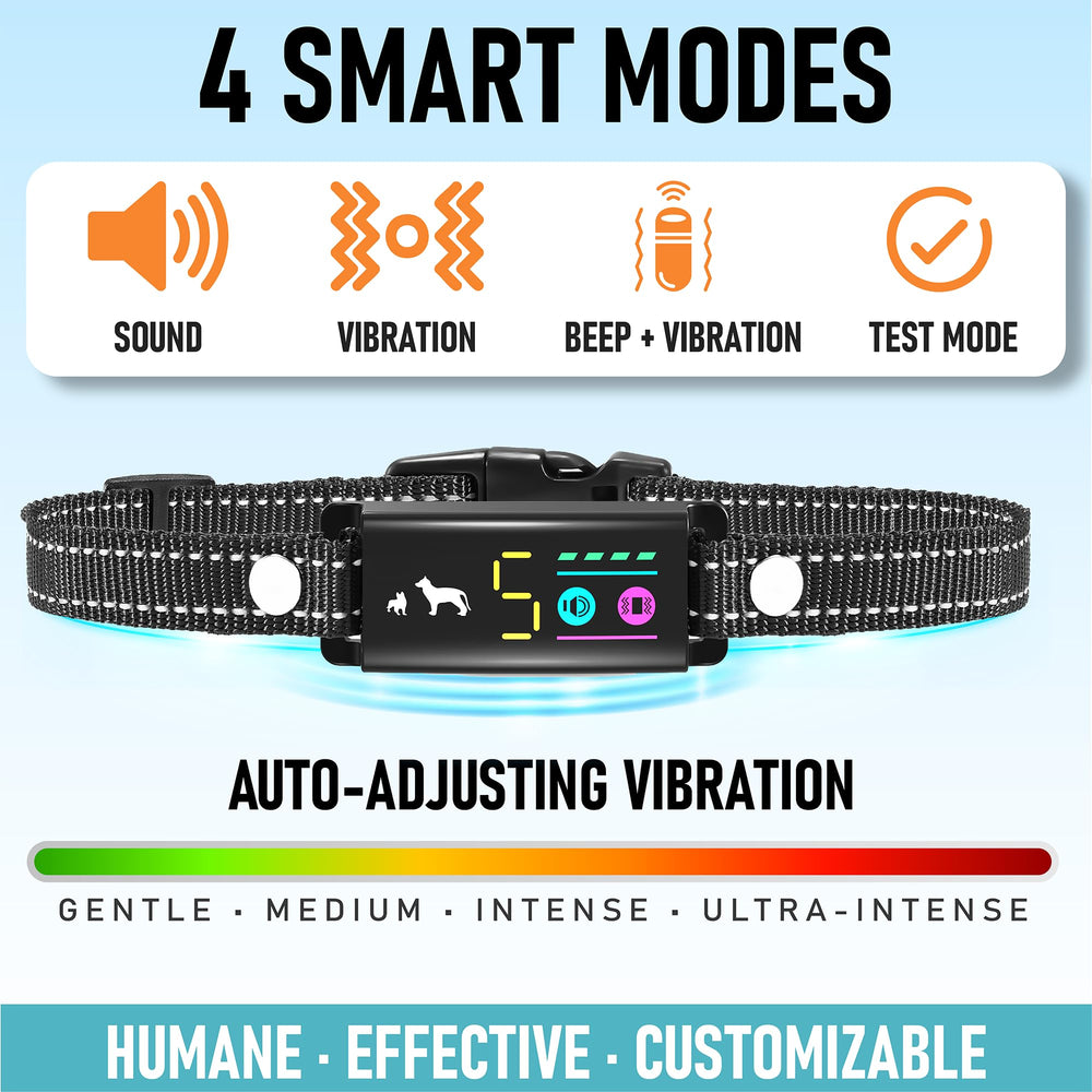 TrainTail Black collar blends with everyday dogwear.