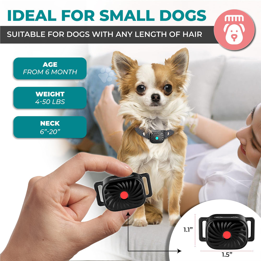 TrainTail bark collar ready for indoor and outdoor use on daily adventures.