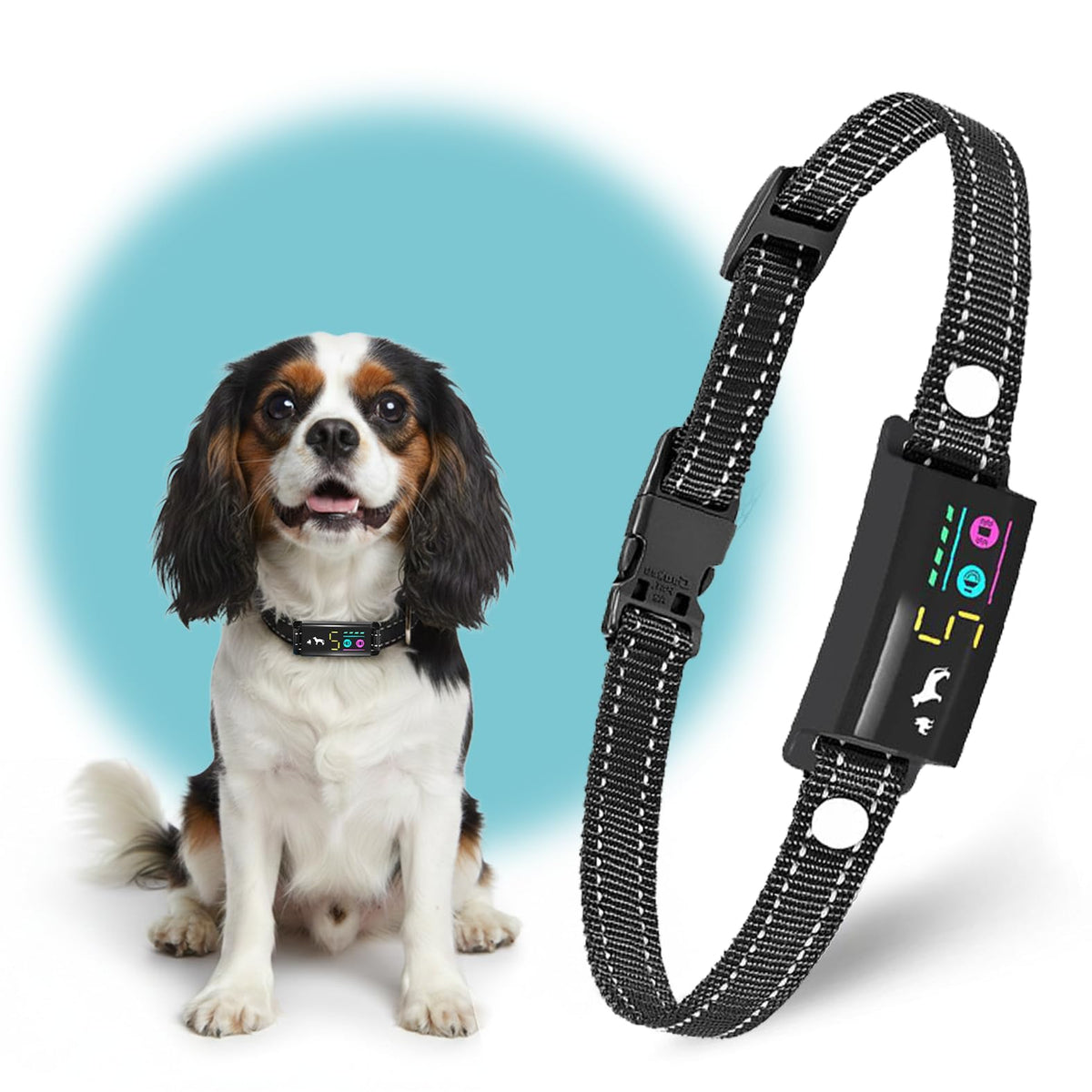 TrainTail No-Shock Bark Collar for small dogs with a lightweight daily-wear receiver.