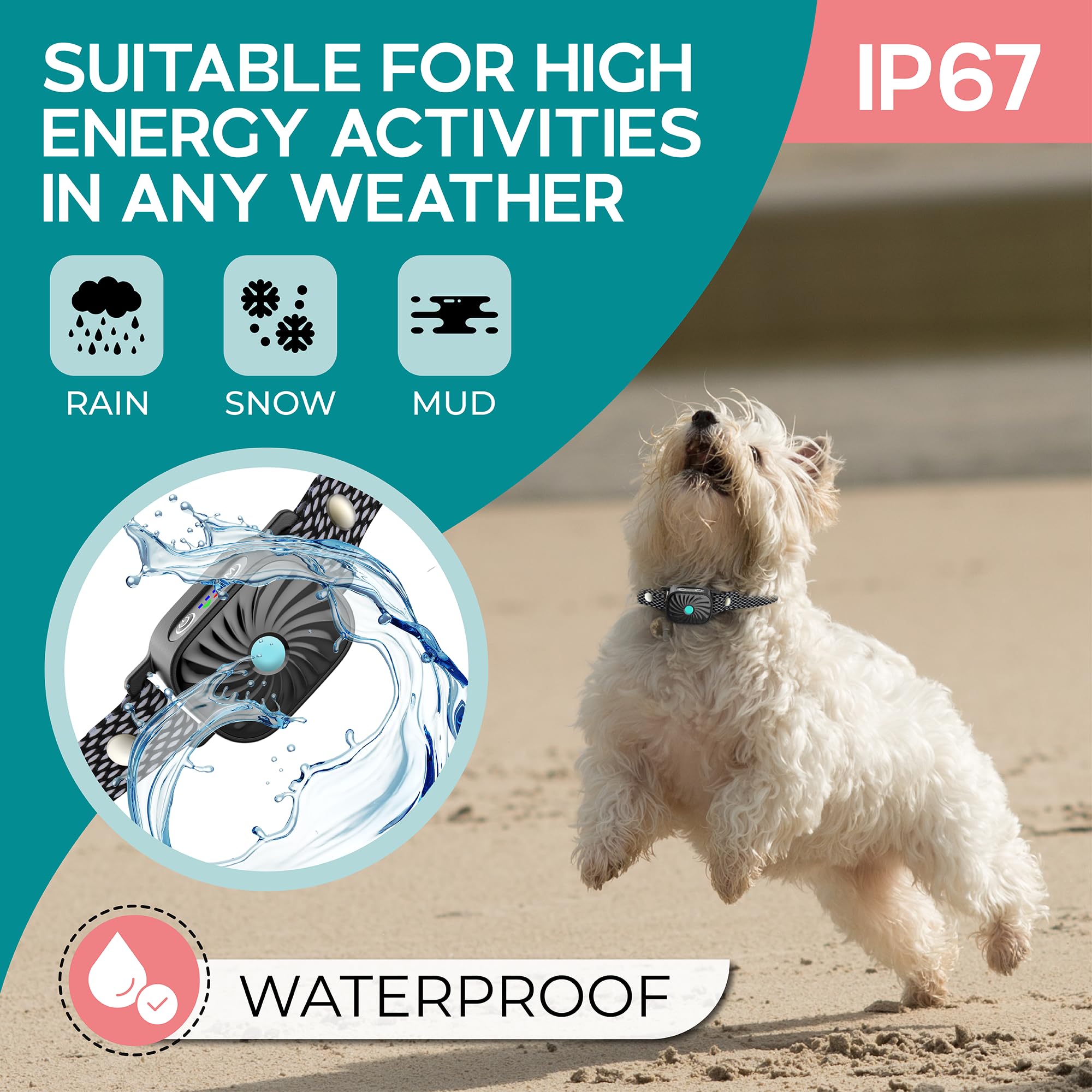 TrainTail safety vibration modes offering humane training options for dogs.
