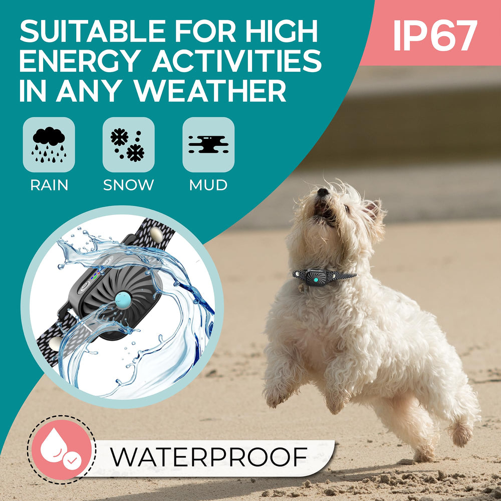 TrainTail safety vibration modes offering humane training options for dogs.