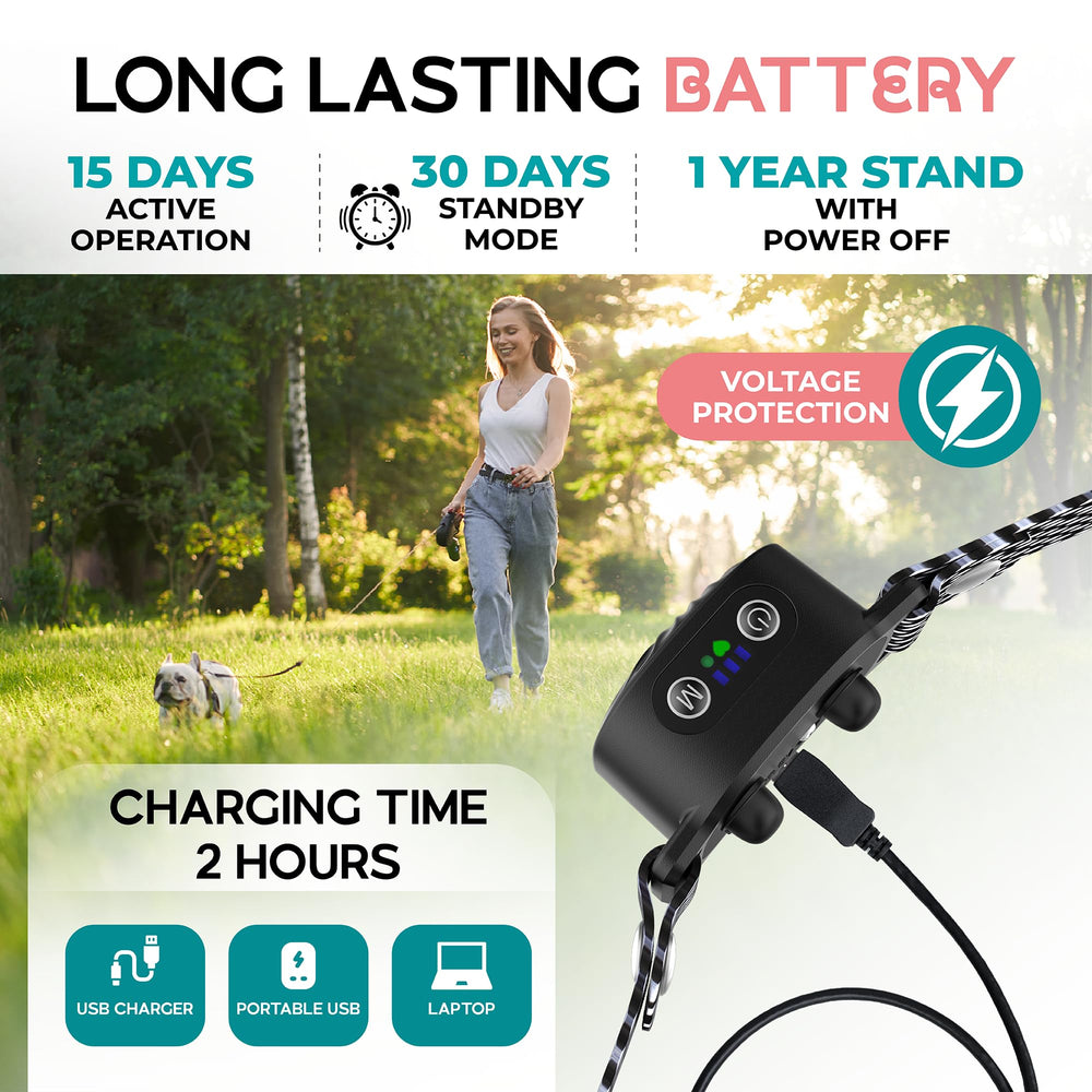 TrainTail two-pack bark collar kit ideal for multi-dog households and travel.