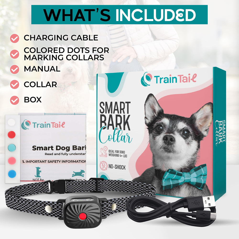 TrainTail waterproof IP87 bark collar keeps working in rain and splashes.