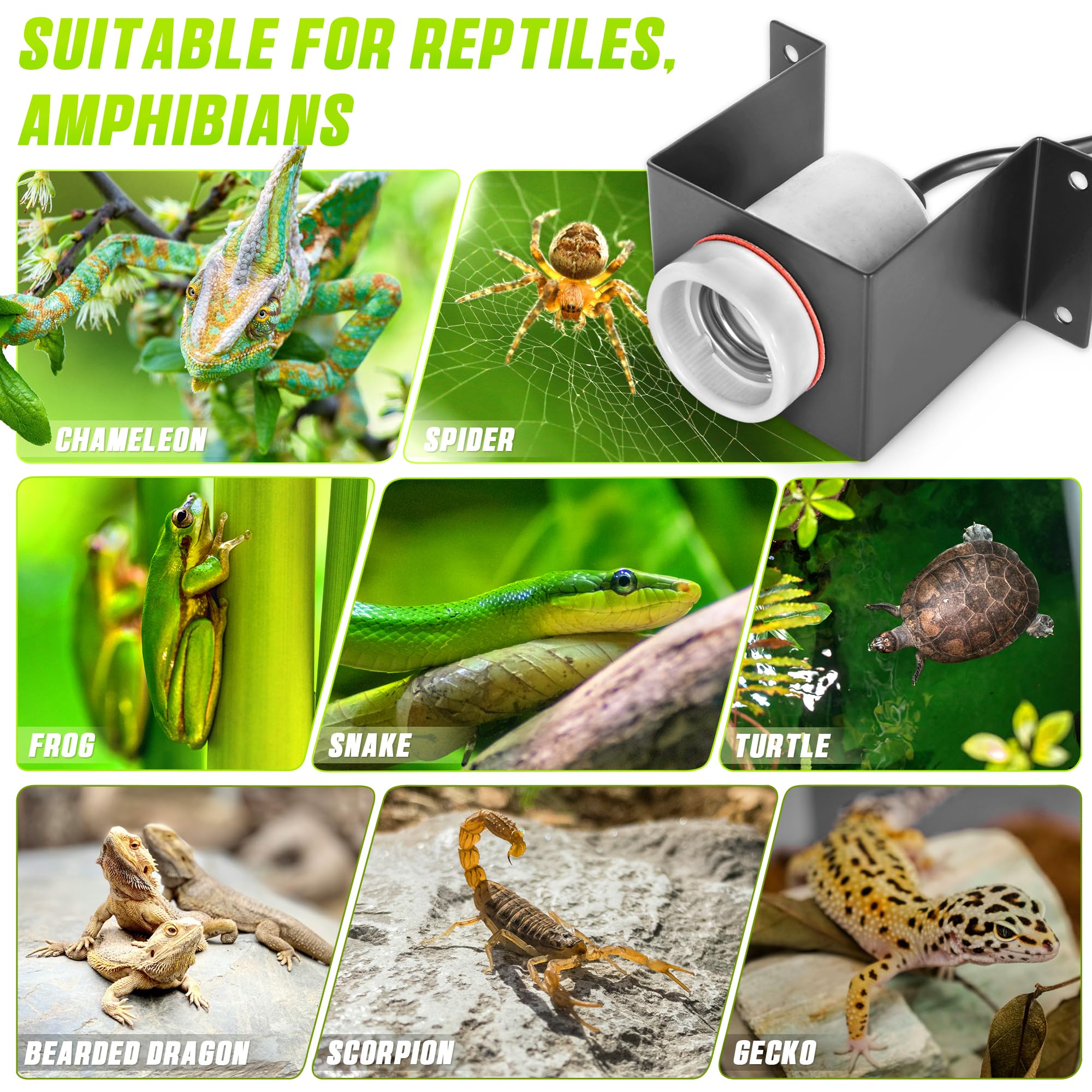 Trakem reptile bulb not included note for complete setup