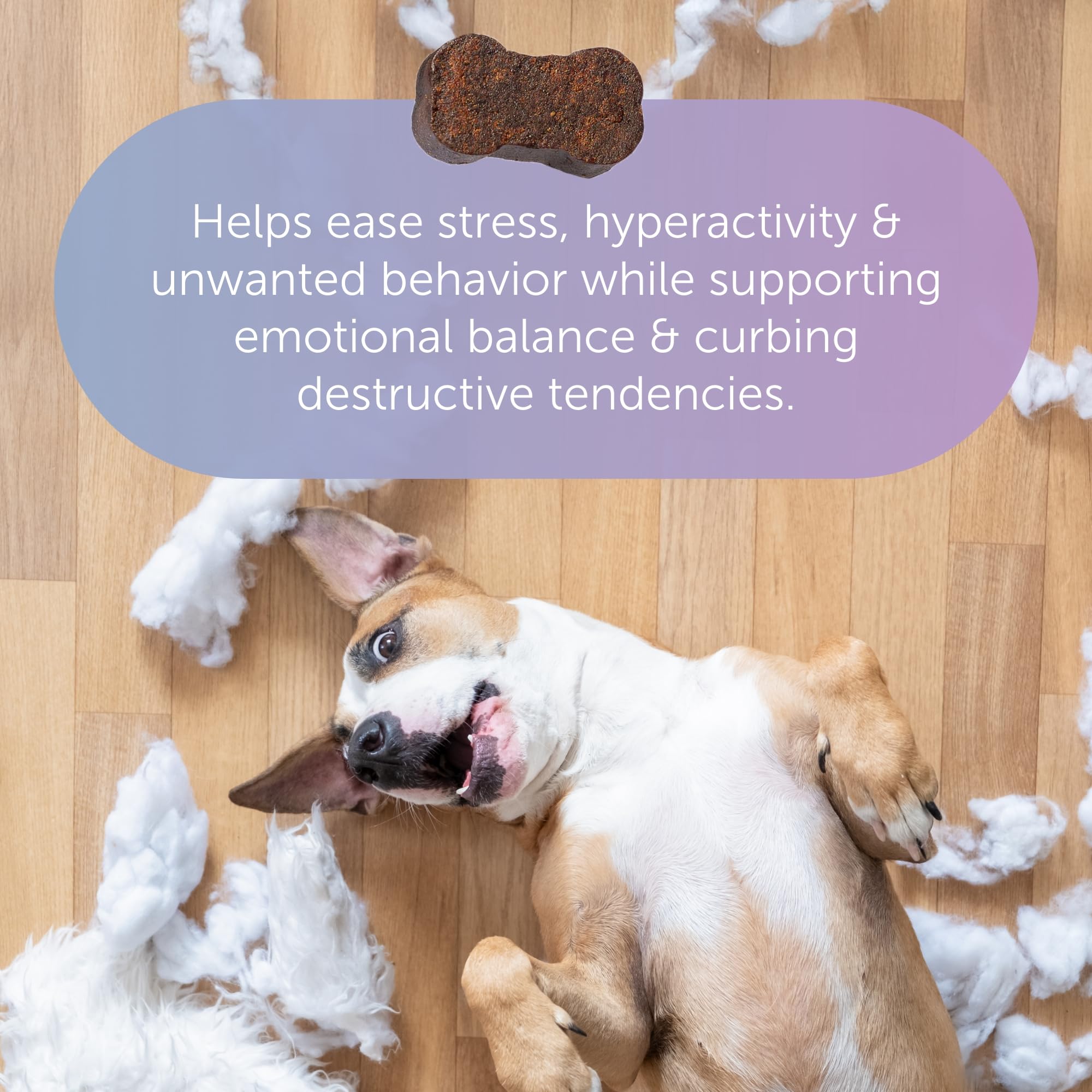 Tranquillium calming bottle close-up highlights fast-acting dog support.